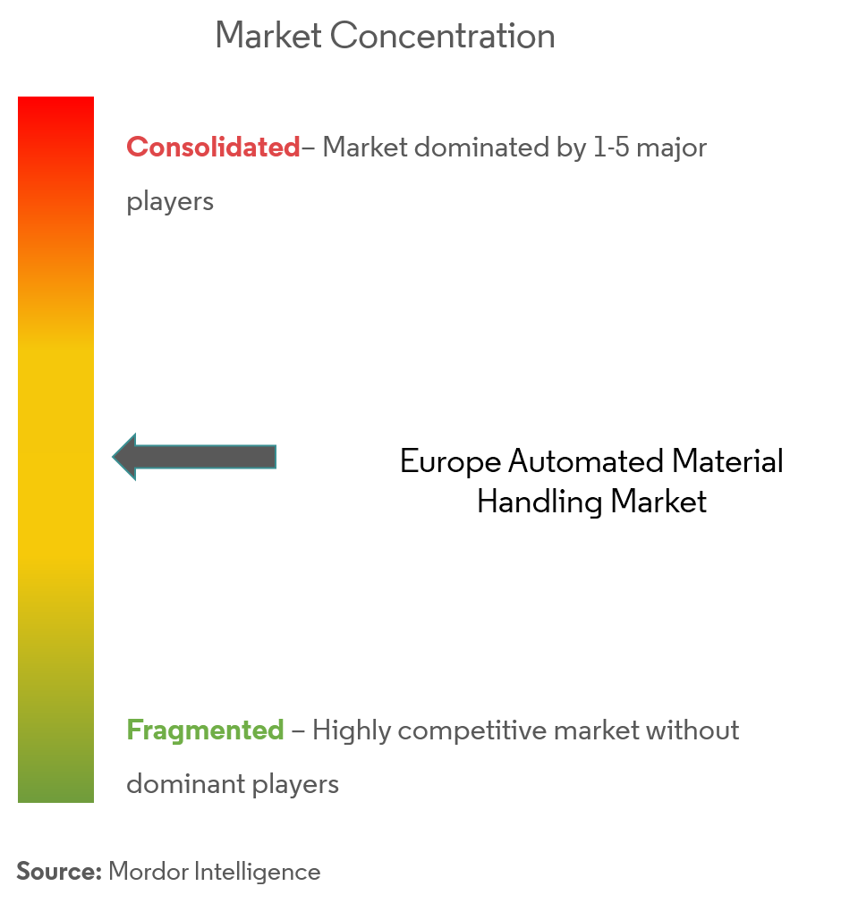 Europe Automated Material Handling (AMH) Market Concentration